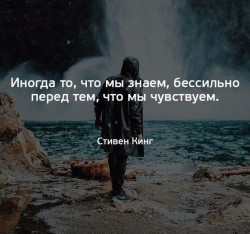 кинг.jpg