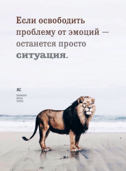 27072468_907527162705220_761940865988098783_n.png