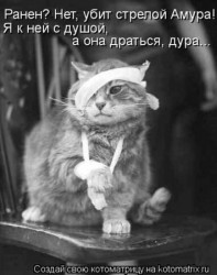 Ранен.jpg