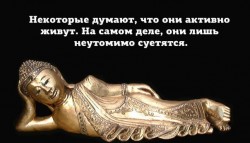 суета.jpg