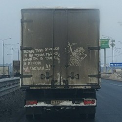 лошадка.jpg