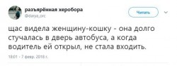 женщина -кошка.jpg
