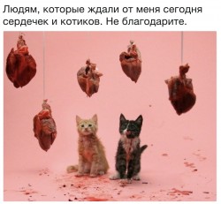 сердечки.jpg