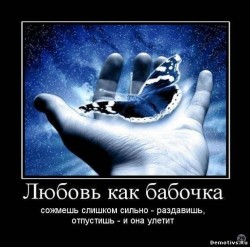 бабочка.jpg