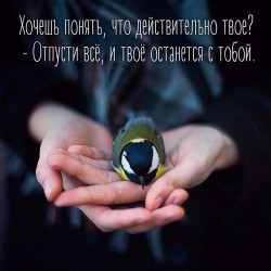 27750357_1874776949500817_4342354893998999822_n.jpg