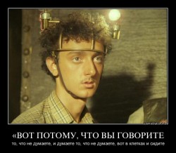 клетки.jpg