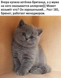 британец.jpg