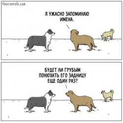 7-113.jpg