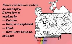 Верблюд.jpg