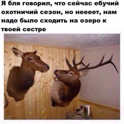 сезон.jpg