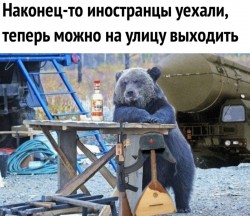 медведь.jpg