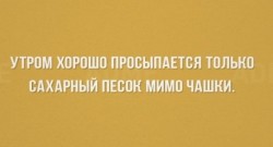 утро.jpg