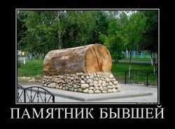 бревно.jpg