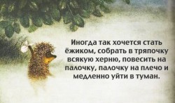 стать ёжиком.jpg