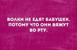волки.jpg