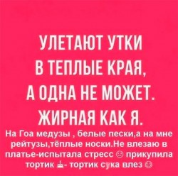 утки.jpg