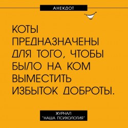 коты.jpg
