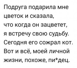 цветок.jpg