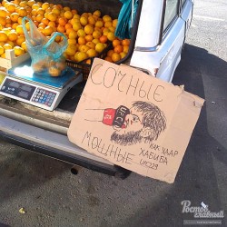 мандарины.jpg
