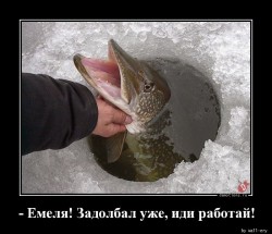 Емеля.jpg