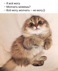 молчать.jpg
