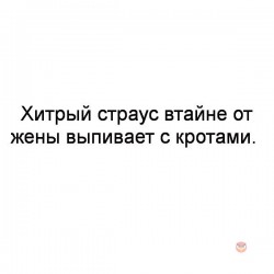 хитрый страус.jpg