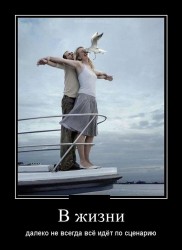 в жизни.jpg