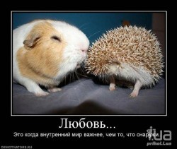 любовь.jpg