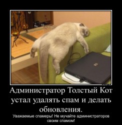 спам.jpg