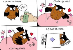 611458.jpg