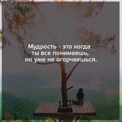 мудрость.jpg