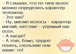 тип волос.jpg