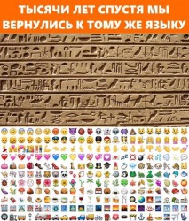 49164672_1983807055037283_7304401247665127424_n.jpg