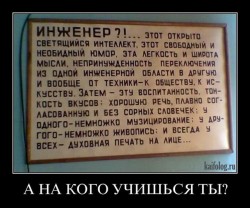 1335840363_013_1.jpg