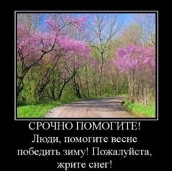 stishki_pro_vesnu_6.jpg