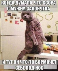 53274713_2451757501720246_8119590021880610816_o.jpg