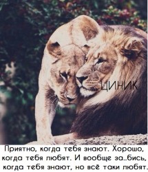 любят.jpg