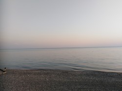 IMG_20190827_184435.jpg