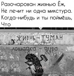 жизнь -туман.jpg